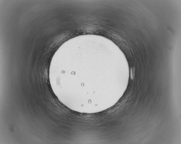 X0000111611155200908281044