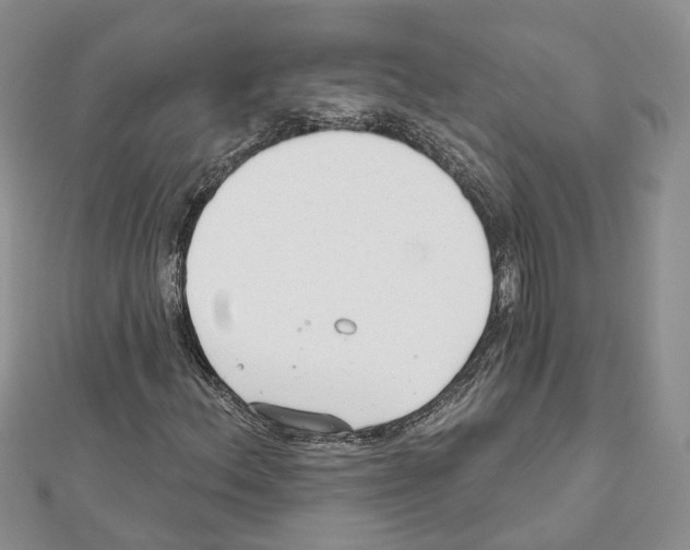 X0000111611156200908281044