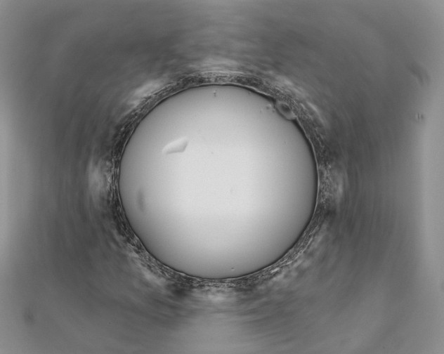 X0000111611157200908281044