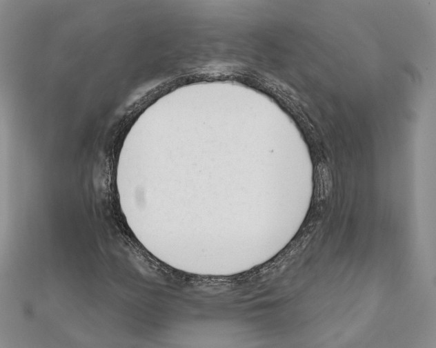 X0000111611158200908281044