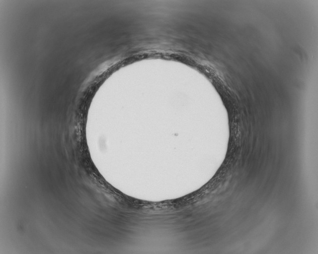 X0000111611159200908281044
