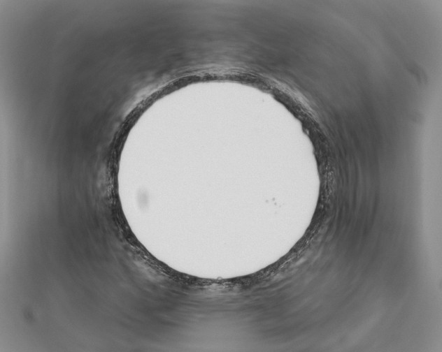 X0000111611160200908281044