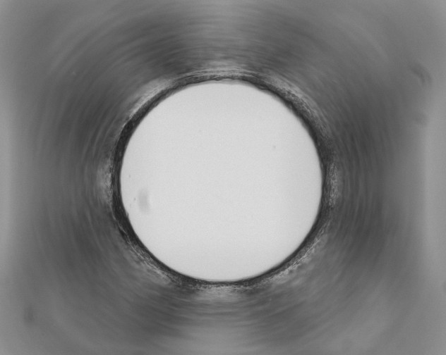 X0000111611162200908281044