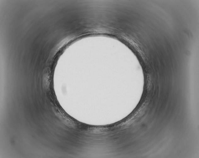 X0000111611163200908281044