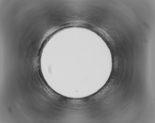 X0000111611164200908281044