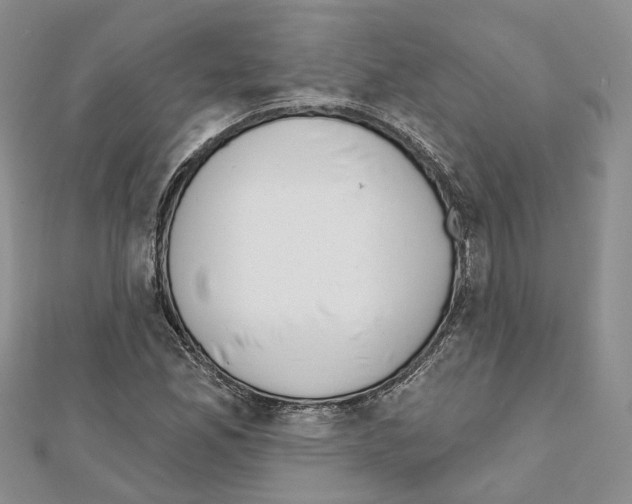 X0000111611165200908281044