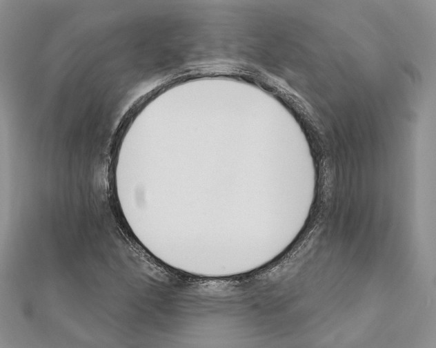 X0000111611166200908281044