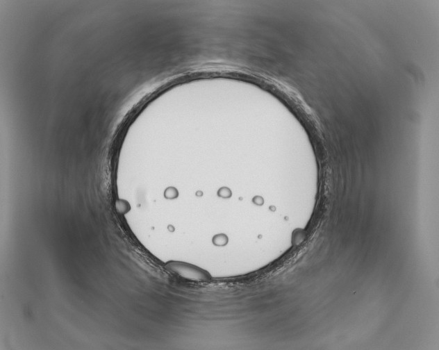 X0000111611167200908281044