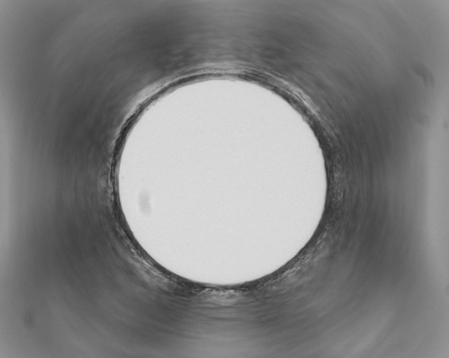 X0000111611168200908281044