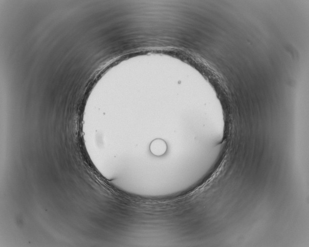 X0000111611169200908281044