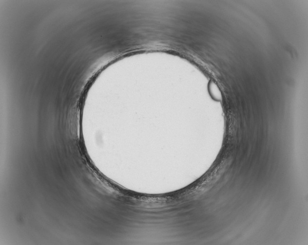 X0000111611171200908281044