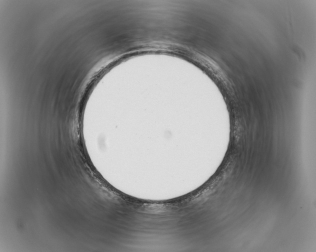 X0000111611172200908281044