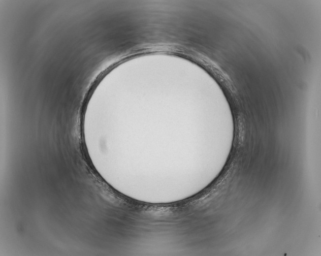 X0000111611174200908281044