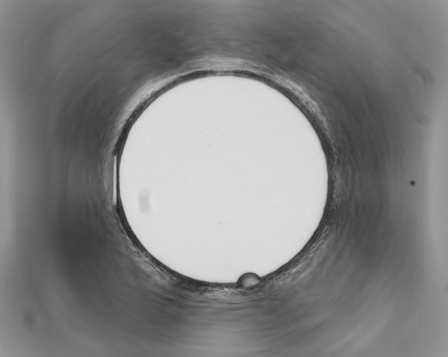 X0000111611175200908281044