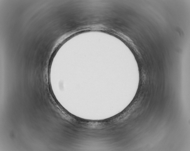 X0000111611176200908281044