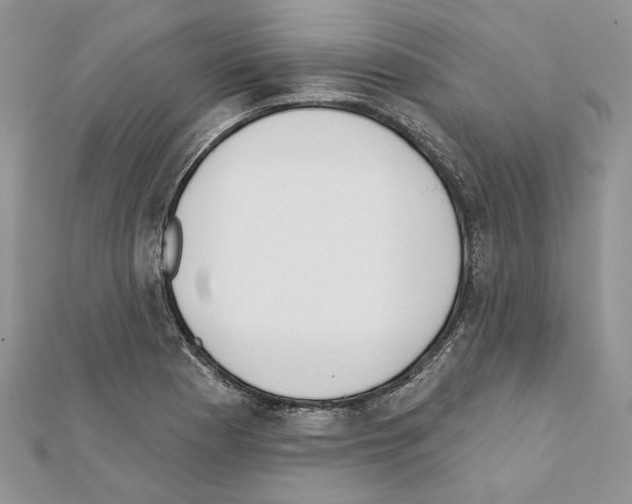 X0000111611177200908281044