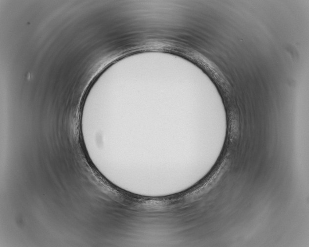 X0000111611178200908281044