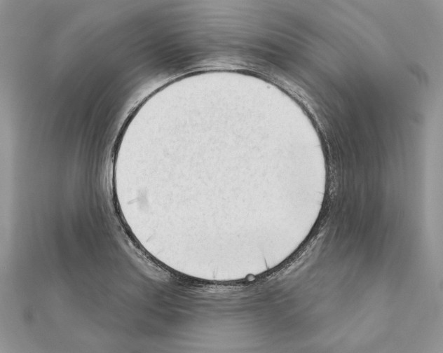 X0000111611179200908281044
