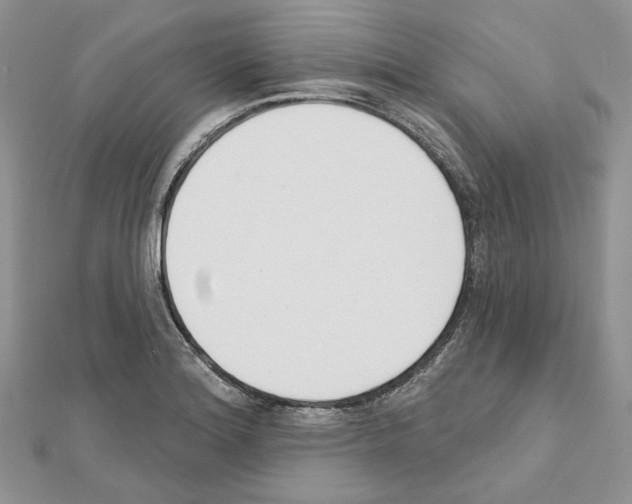 X0000111611180200908281044