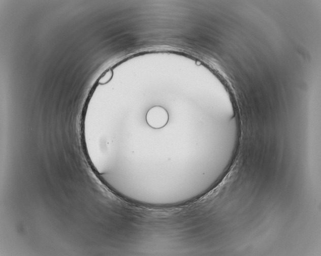 X0000111611181200908281044
