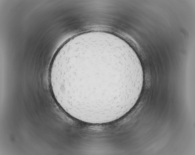 X0000111611182200908281044