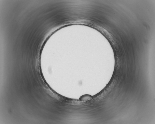 X0000111611184200908281044