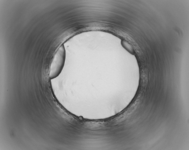 X0000111611185200908281044