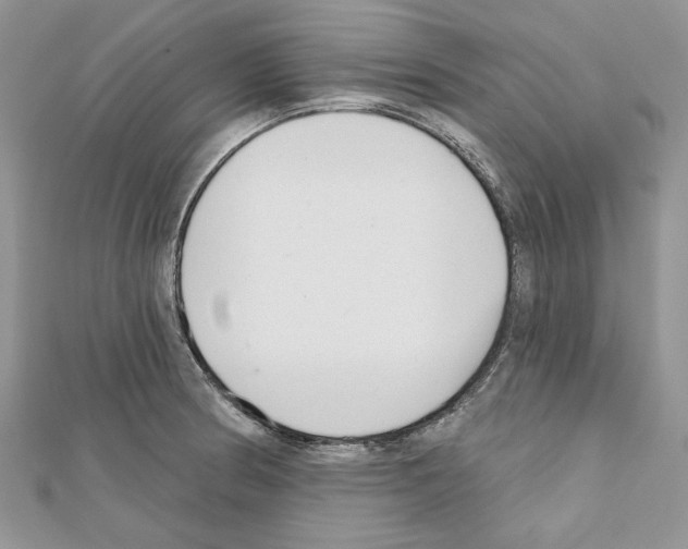 X0000111611186200908281044