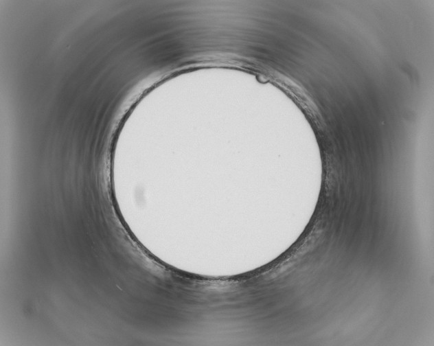 X0000111611188200908281044