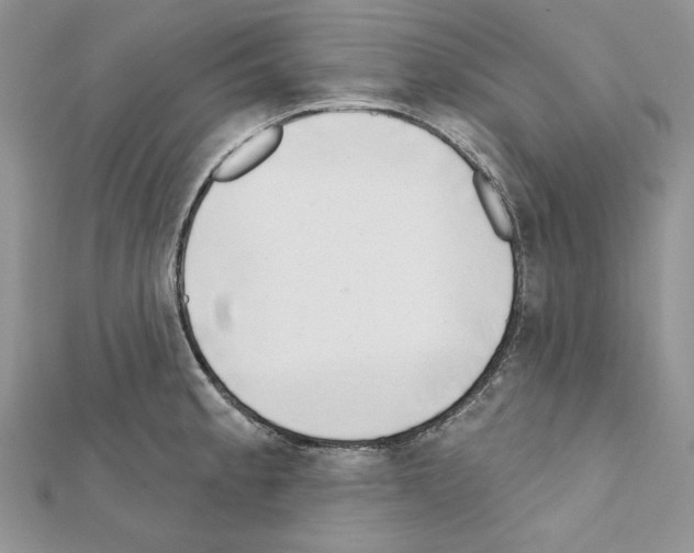 X0000111611189200908281044