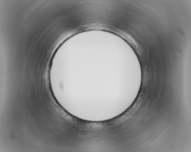 X0000111611190200908281044