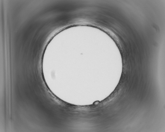 X0000111611191200908281044
