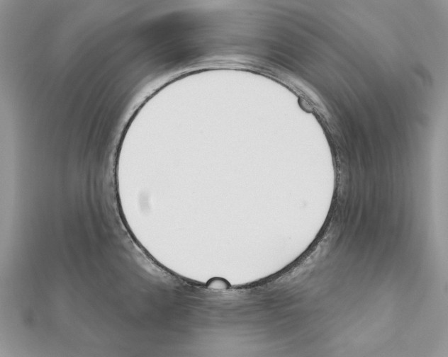 X0000111611192200908281044