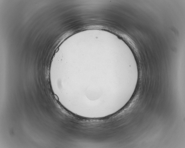 X0000111611193200908281044
