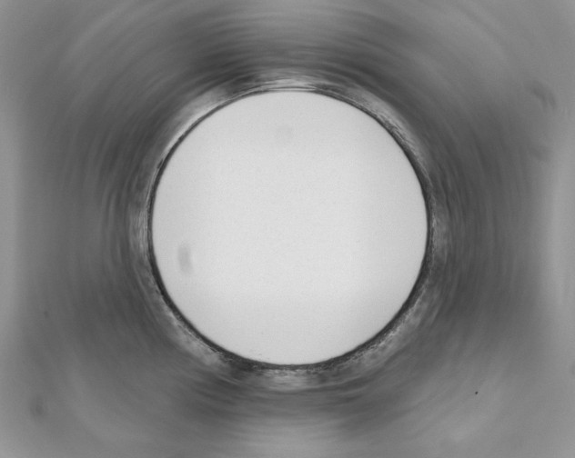 X0000111611194200908281044