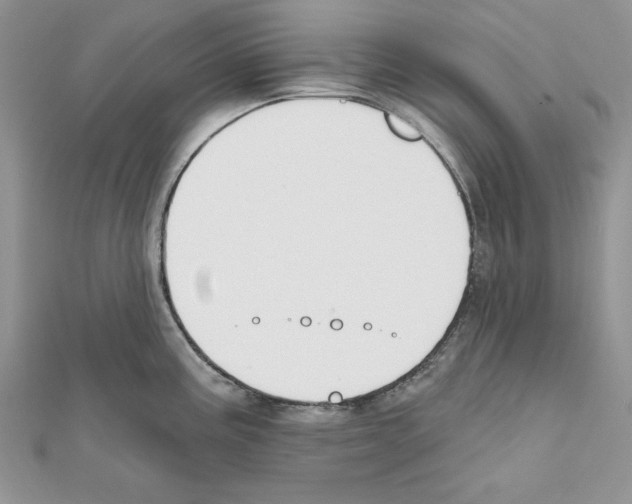 X0000111611195200908281044