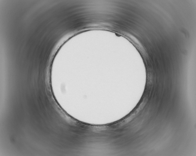X0000111611196200908281044