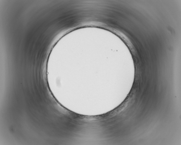 X0000111611199200908281044