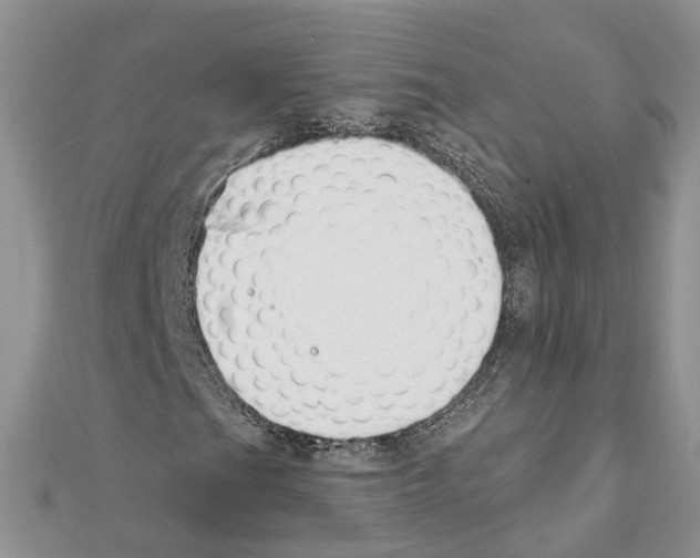 X0000111611201200908281043