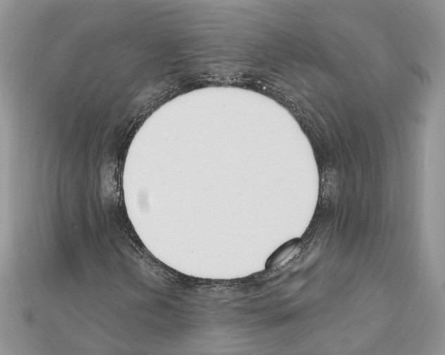 X0000111611202200908281043