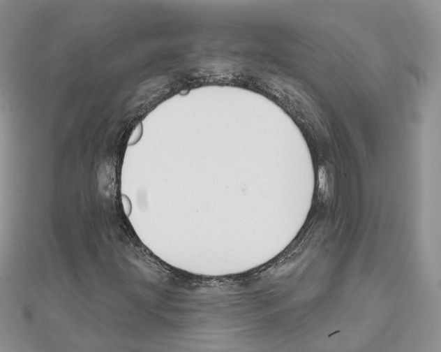 X0000111611203200908281043