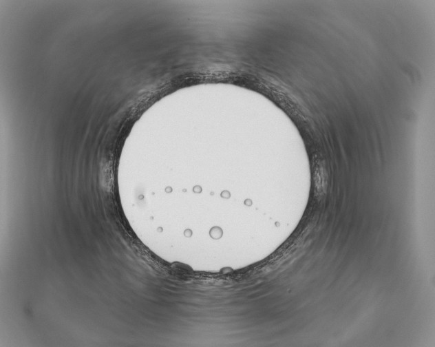 X0000111611204200908281043