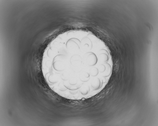 X0000111611205200908281043