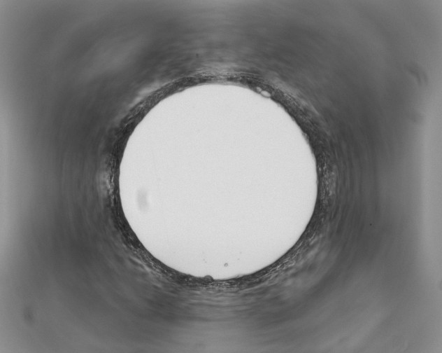 X0000111611206200908281043