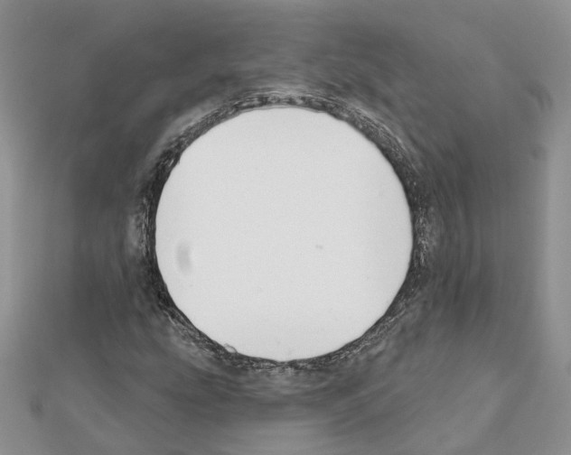 X0000111611207200908281043