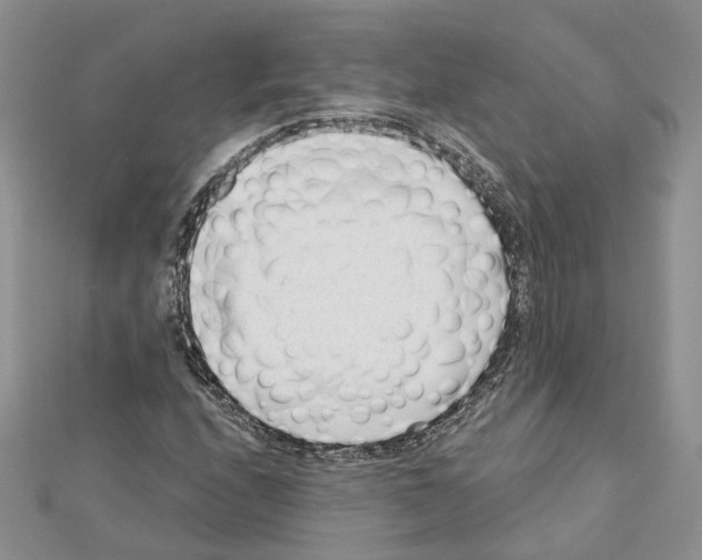 X0000111611208200908281043