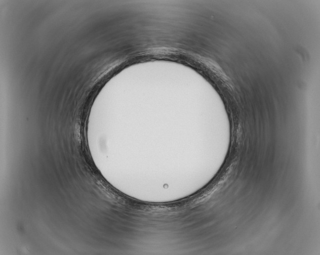 X0000111611209200908281043
