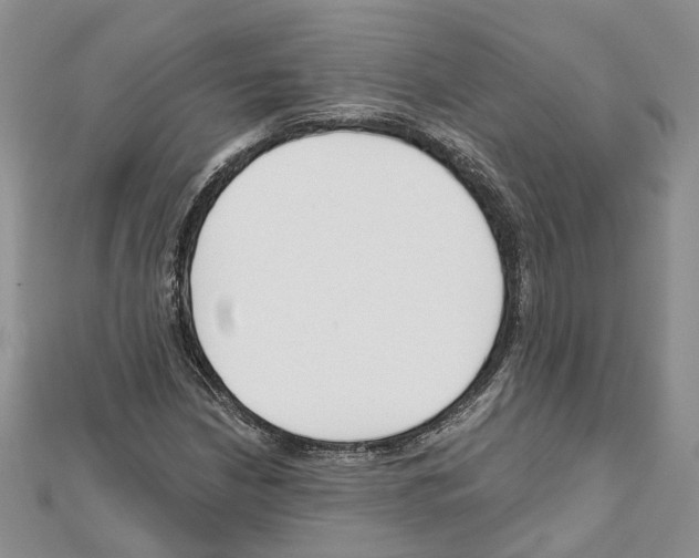 X0000111611210200908281043