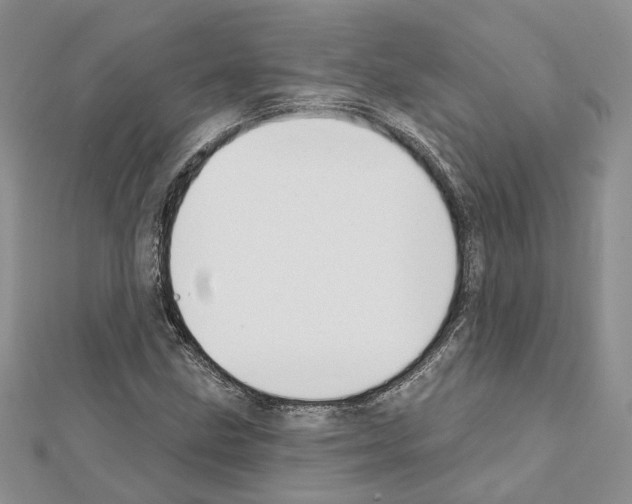 X0000111611211200908281043