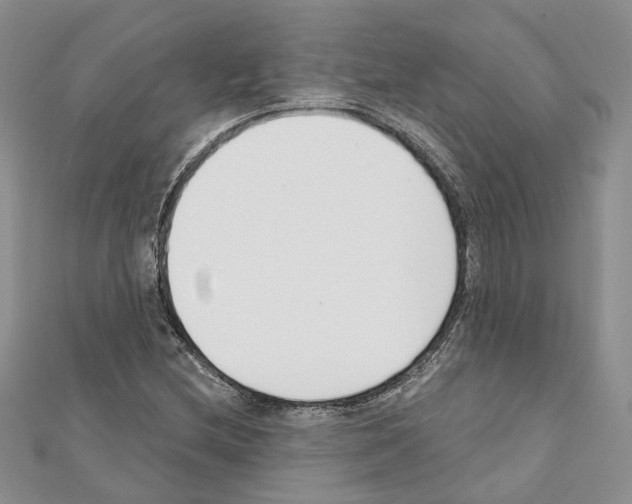 X0000111611212200908281043